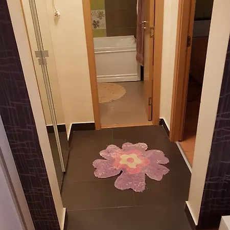 Apartament Andreea Lejlighed