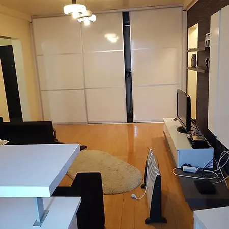 Apartament Andreea *